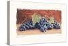 Grape Harvest I-Amy Melious-Stretched Canvas