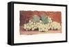 Grape Harvest II-Amy Melious-Framed Stretched Canvas