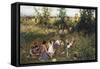 Grape Harvest-Francesco Gioli-Framed Stretched Canvas