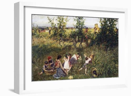 Grape Harvest-Francesco Gioli-Framed Giclee Print