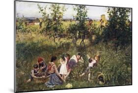 Grape Harvest-Francesco Gioli-Mounted Giclee Print