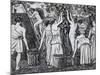 Grape Harvest-Camille Pissarro-Mounted Giclee Print