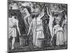 Grape Harvest-Camille Pissarro-Mounted Giclee Print