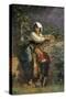 Grape Harvest-Cecrope Barilli-Stretched Canvas