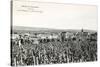 Grape Harvesters, France, Moet et Chandon-null-Stretched Canvas