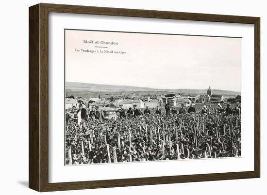 Grape Harvesters, France, Moet et Chandon-null-Framed Art Print