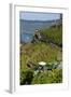 Grape Harvesting Overlooking Mosel Valley at Bernkastel-Kues, Rhineland-Palatinate, Germany, Europe-Charles Bowman-Framed Photographic Print