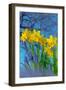 Grape hyacinths and Daffodils in flower, Norfolk, UK-Ernie Janes-Framed Photographic Print