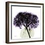 Grape Hydrangea-Albert Koetsier-Framed Art Print