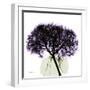 Grape Hydrangea-Albert Koetsier-Framed Art Print