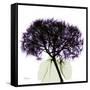 Grape Hydrangea-Albert Koetsier-Framed Stretched Canvas