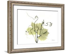 Grape Leaves and Tendrils, X-ray-Koetsier Albert-Framed Photographic Print