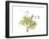 Grape Leaves and Tendrils, X-ray-Koetsier Albert-Framed Photographic Print