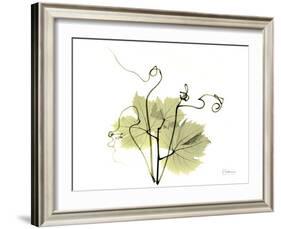 Grape Leaves and Tendrils, X-ray-Koetsier Albert-Framed Photographic Print