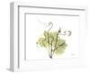 Grape Leaves and Tendrils, X-ray-Koetsier Albert-Framed Photographic Print