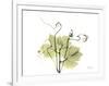 Grape Leaves and Tendrils, X-ray-Koetsier Albert-Framed Photographic Print