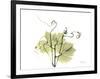 Grape Leaves and Tendrils, X-ray-Koetsier Albert-Framed Photographic Print