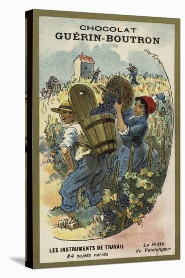Grape Picker's Basket-null-Stretched Canvas