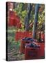 Grape Picking in Renato Ratti Vineyard, Piedmont, Italy-Armin Faber-Stretched Canvas