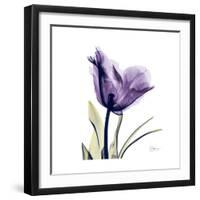 Grape Tulip-Albert Koetsier-Framed Art Print