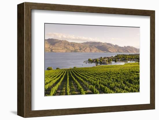 Grape Vines and Okanagan Lake at Quails Gate Winery-Michael DeFreitas-Framed Photographic Print