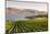 Grape Vines and Okanagan Lake at Quails Gate Winery-Michael DeFreitas-Mounted Photographic Print