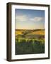 Grape Vines and Rolling Hills in the Barossa Valley-Jon Hicks-Framed Photographic Print