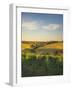 Grape Vines and Rolling Hills in the Barossa Valley-Jon Hicks-Framed Photographic Print