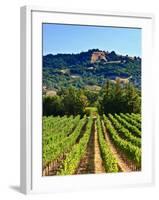 Grape Vines in Northern California Near Mendocino-Michael DeFreitas-Framed Photographic Print