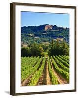 Grape Vines in Northern California Near Mendocino-Michael DeFreitas-Framed Photographic Print