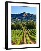 Grape Vines in Northern California Near Mendocino-Michael DeFreitas-Framed Photographic Print