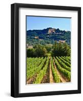 Grape Vines in Northern California Near Mendocino-Michael DeFreitas-Framed Photographic Print