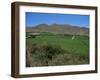 Grape Vines in the Valle De Elqui, Chile, South America-Aaron McCoy-Framed Photographic Print