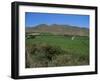 Grape Vines in the Valle De Elqui, Chile, South America-Aaron McCoy-Framed Photographic Print