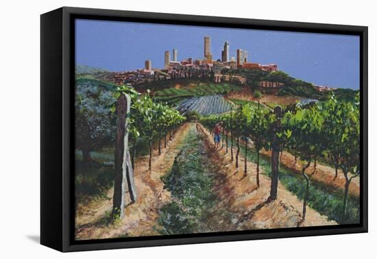 Grape Vines, San Gimignano, Tuscany, 1998-Trevor Neal-Framed Stretched Canvas