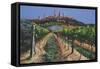 Grape Vines, San Gimignano, Tuscany, 1998-Trevor Neal-Framed Stretched Canvas