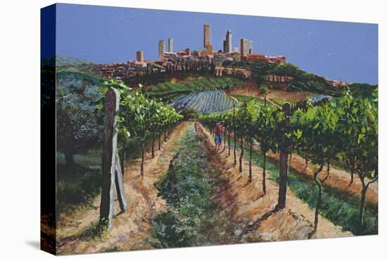 Grape Vines, San Gimignano, Tuscany, 1998-Trevor Neal-Stretched Canvas