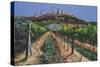 Grape Vines, San Gimignano, Tuscany, 1998-Trevor Neal-Stretched Canvas