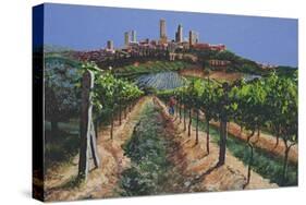 Grape Vines, San Gimignano, Tuscany, 1998-Trevor Neal-Stretched Canvas