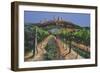 Grape Vines, San Gimignano, Tuscany, 1998-Trevor Neal-Framed Giclee Print