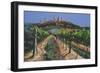 Grape Vines, San Gimignano, Tuscany, 1998-Trevor Neal-Framed Giclee Print