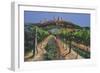 Grape Vines, San Gimignano, Tuscany, 1998-Trevor Neal-Framed Giclee Print