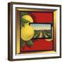 Grapefruit and Orchard - Citrus Crate Label-Lantern Press-Framed Art Print