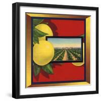 Grapefruit and Orchard - Citrus Crate Label-Lantern Press-Framed Art Print