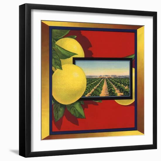 Grapefruit and Orchard - Citrus Crate Label-Lantern Press-Framed Art Print