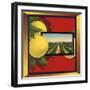 Grapefruit and Orchard - Citrus Crate Label-Lantern Press-Framed Art Print