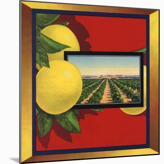 Grapefruit and Orchard - Citrus Crate Label-Lantern Press-Mounted Art Print