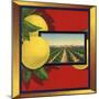 Grapefruit and Orchard - Citrus Crate Label-Lantern Press-Mounted Art Print