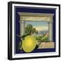 Grapefruit and Orchard - Citrus Crate Label-Lantern Press-Framed Premium Giclee Print