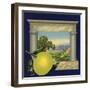 Grapefruit and Orchard - Citrus Crate Label-Lantern Press-Framed Art Print